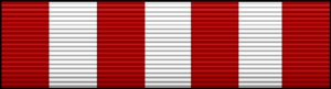 AUXILIARY PUBLIC AFFAIRS RIBBON