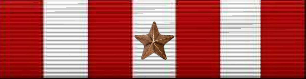 Auxiliary Public Affairs 2 Ribbon